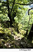 19F05314.jpg