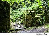 19F05329.jpg
