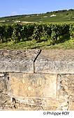 21F02336.jpg