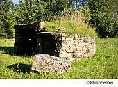 23F00501.jpg