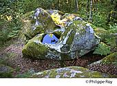 23F00511.jpg