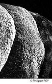 23F00934.jpg