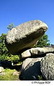 23F01005.jpg