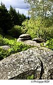 23F01235.jpg