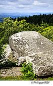23F01236.jpg