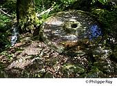 23F02002.jpg