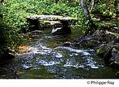 23F02937.jpg