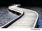 23F03023.jpg