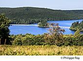 23F03026.jpg