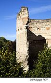 24F02507.jpg