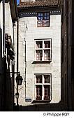 24F02526.jpg