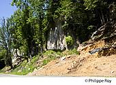 24F03632.jpg