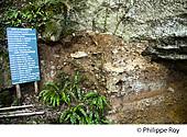 24F03637.jpg