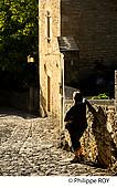 24F04426.jpg