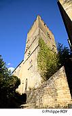 24F04439.jpg