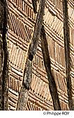 24F05816.jpg