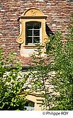 24F06429.jpg