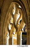 24F06539.jpg