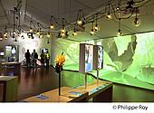 24F07238.jpg
