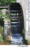 24F08521.jpg
