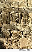 24F08825.jpg