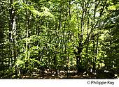 30F00504.jpg