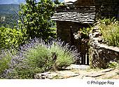 30F02034.jpg