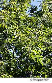30F02107.jpg