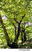 30F02110.jpg