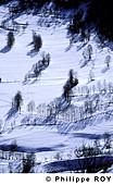 31F00140.jpg