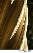 31F03907.jpg