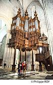 31F04730.jpg