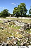 31F04909.jpg