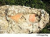 31F04934.jpg