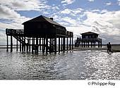 33F17719.jpg