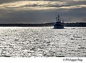 33F17814.jpg