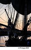 33F18328.jpg