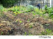 33F25340.jpg