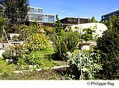 33F25435.jpg