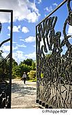 33F25525.jpg