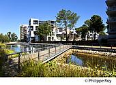 33F25531.jpg