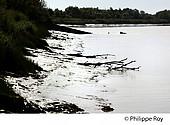 33F26405.jpg