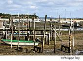 33F27423.jpg