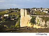 33F28328.jpg