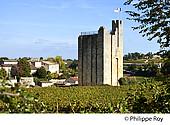 33F28419.jpg
