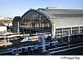 33F29428.jpg