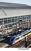 33F29434.jpg