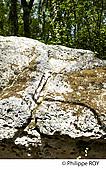 33F31538.jpg
