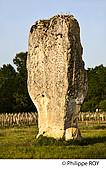 33F31739.jpg