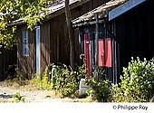 33F31838.jpg